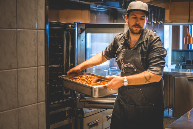 Comentarii opinii despre Fjorn