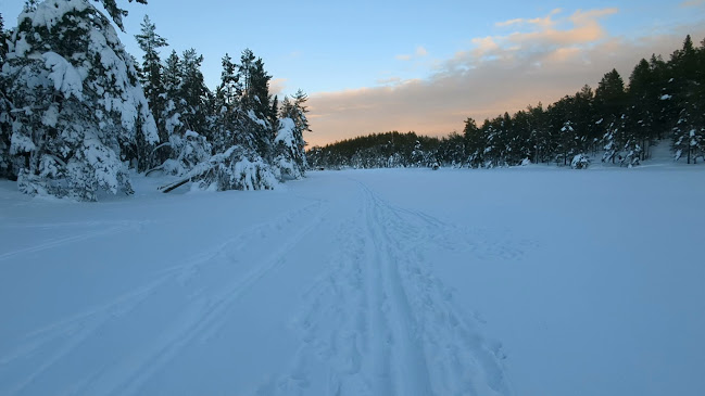 Opinii despre Granestua în Arendal - Gastronomi og hotellvirksomhet