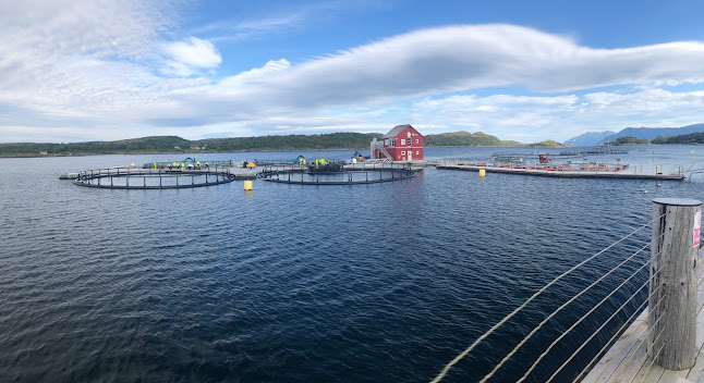 Comentarii opinii despre SMAK Restaurant - Norsk Havbrukssenter