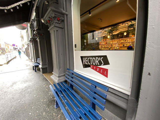 Comentarii opinii despre Hectors Hybel