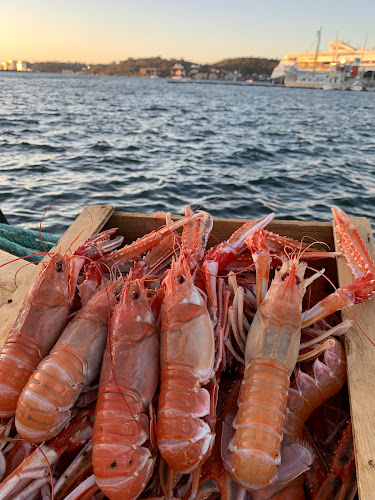 Brødrene Berggren AS - Gastronomi og hotellvirksomhet