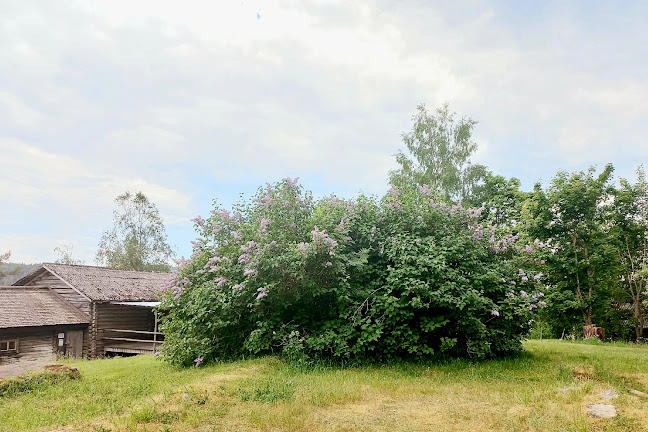 Opinii despre Holsæther Catering (Glåmdal Catering DA) în Kongsvinger - Gastronomi og hotellvirksomhet