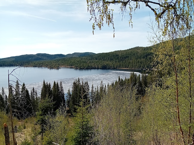 Trondheim, 7024 Trondheim