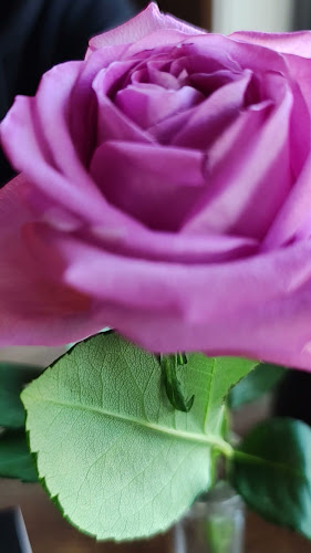 Opinii despre Cæsar Café og Pizzabar | Restaurant og kafe în Sætre - Gastronomi og hotellvirksomhet