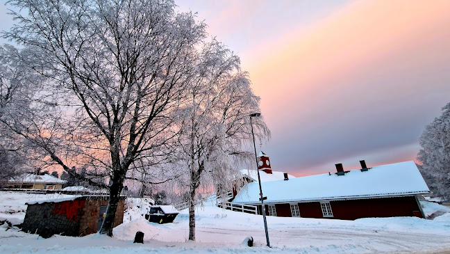 Comentarii opinii despre Herregårdskafeen