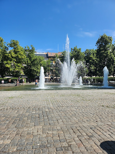 Comentarii opinii despre Kaffebrenneriet avd Spikersuppa