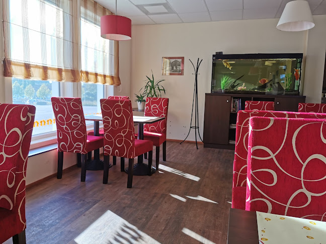 AS Randevu - Gastronomi og hotellvirksomhet