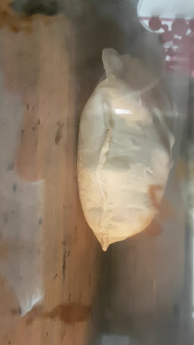 Lille Farsund AS - Gastronomi og hotellvirksomhet