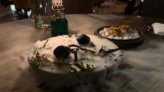 Restaurant Rest - Gastronomi og hotellvirksomhet