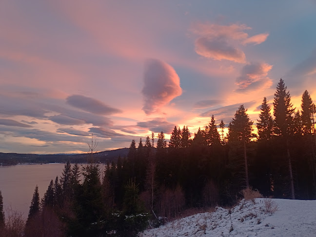 Comentarii opinii despre Grønlia