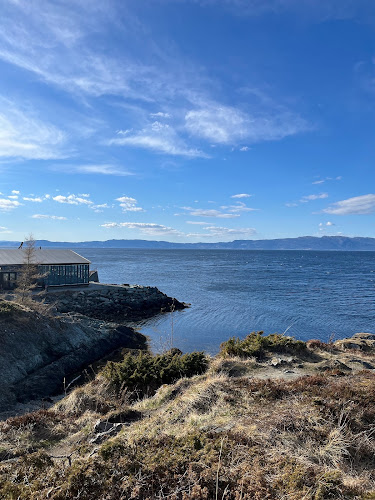 Comentarii opinii despre Ladekaia