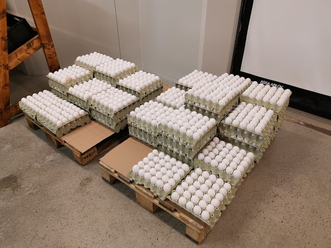 Sunde Gårdsutsalg - Hafrsfjord