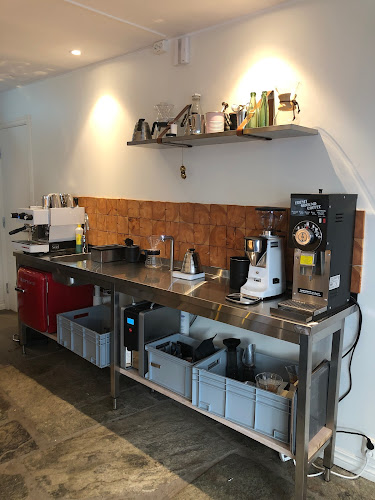 Comentarii opinii despre Bo