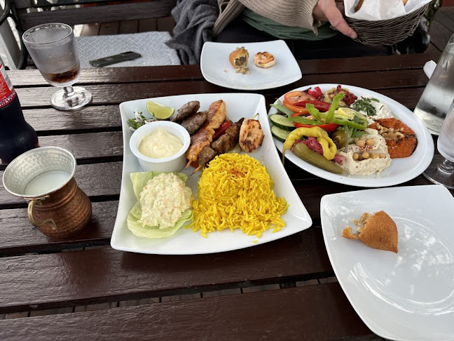 Comentarii opinii despre Damascino Portvakta as