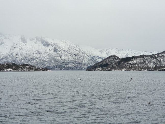 Vikingen Pub & Spiseri - Gastronomi og hotellvirksomhet
