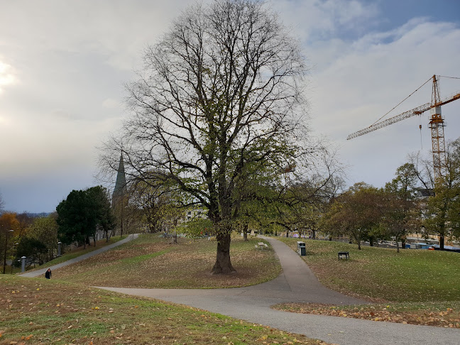Stensparken Cafe - Oslo