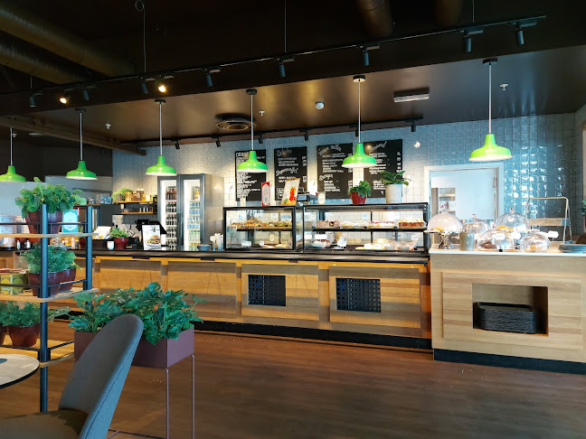 Comentarii opinii despre Jordbærpikene Lofoten