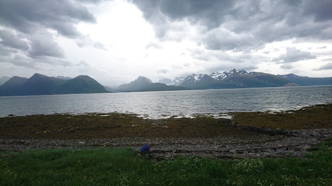 Opinii despre Eldhusbakeriet în Sortland - Gastronomi og hotellvirksomhet