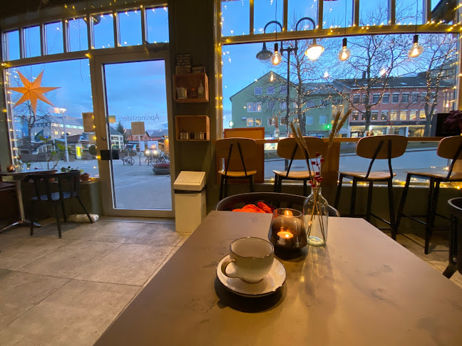 Comentarii opinii despre Melkebaren