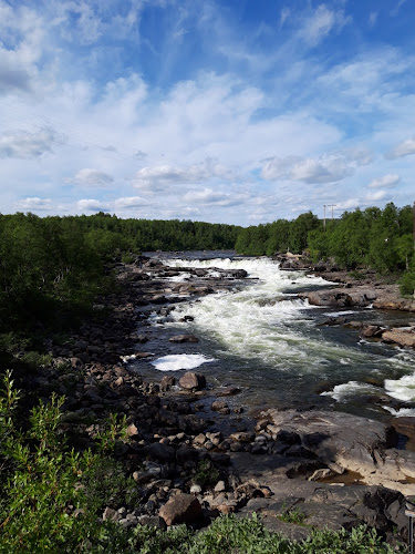 Opinii despre Neiden kroa în Tromsø - Gastronomi og hotellvirksomhet