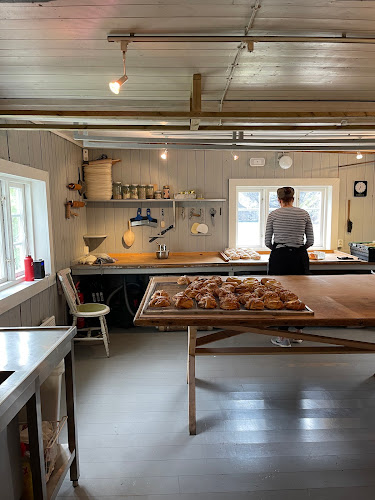 Hansines bakeri - Ramberg