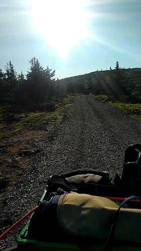 Opinii despre Brannhytta på Natrudstilen în Sjusjøen - Gastronomi og hotellvirksomhet