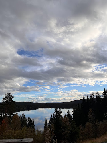 Trondheim, 7024 Trondheim