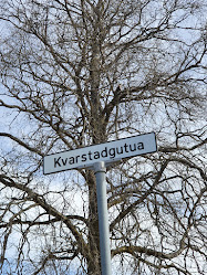 Kvarstadgutua