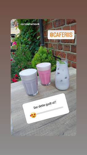 Cafe Riis - Gastronomi og hotellvirksomhet