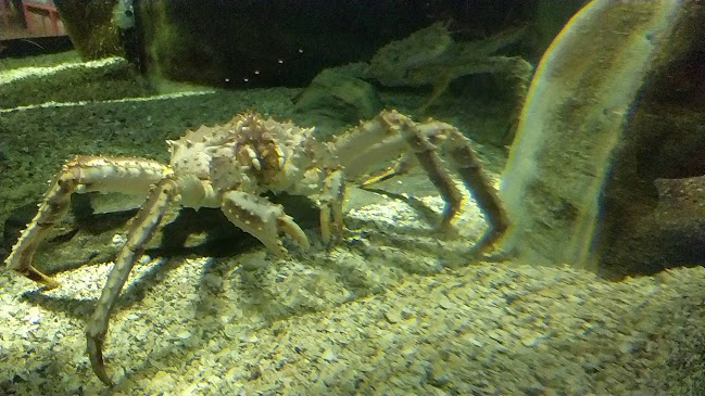 Stortorget 1, 9008 Tromsø