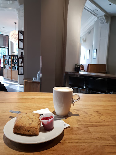 Opinii despre Dromedar Kaffebar Moxness în Trondheim - Gastronomi og hotellvirksomhet