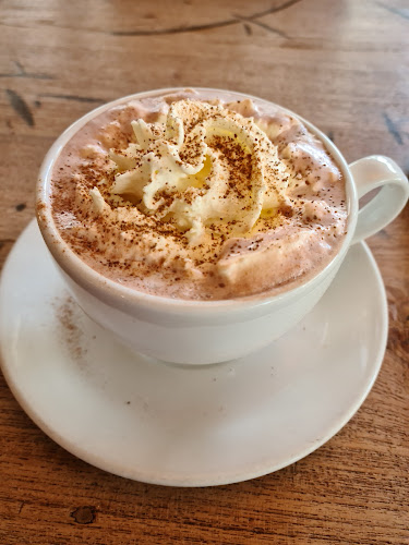 Opinii despre Steam kaffebar în Stabekk - Gastronomi og hotellvirksomhet