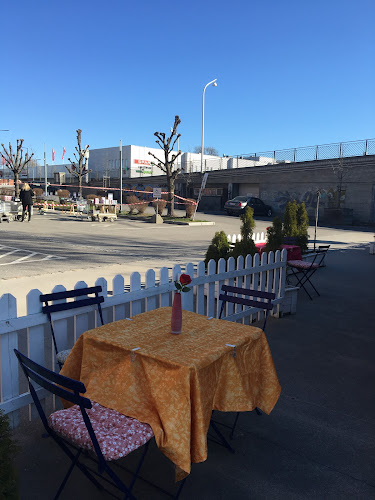 Damascino Portvakta as