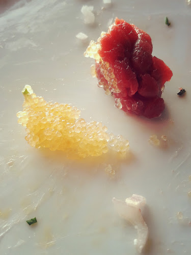 Comentarii opinii despre Holmenkollen Restaurant