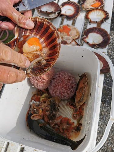 Himmelblå Brygge AS - Ylvingen