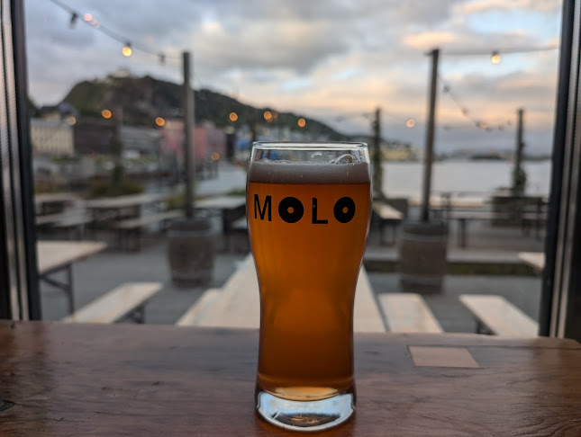 Comentarii opinii despre Molo Brew