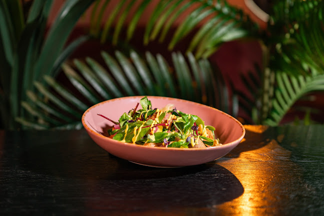 Comentarii opinii despre Rebel