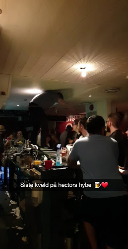 Opinii despre Hectors Hybel în Bergen - Gastronomi og hotellvirksomhet