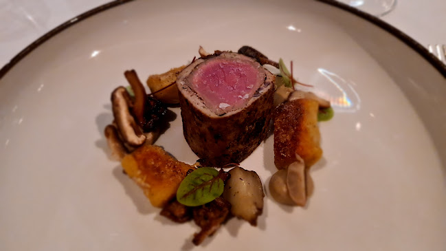 Umami Harstad - Harstad