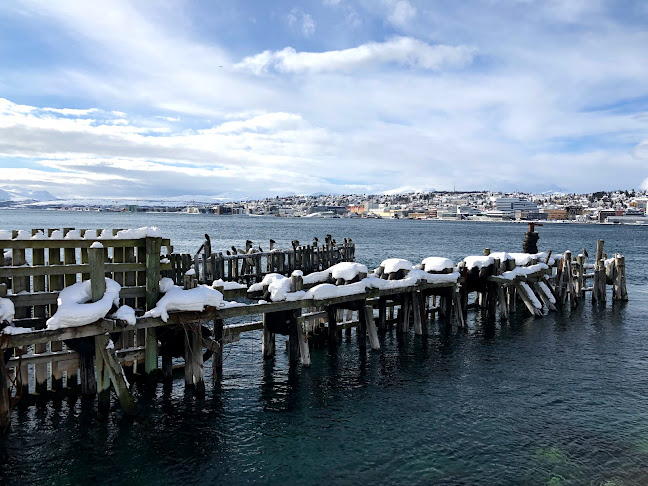 Comentarii opinii despre Allegro Fergekroa