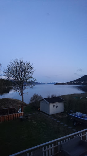 Comentarii opinii despre Nils Andre Gruben