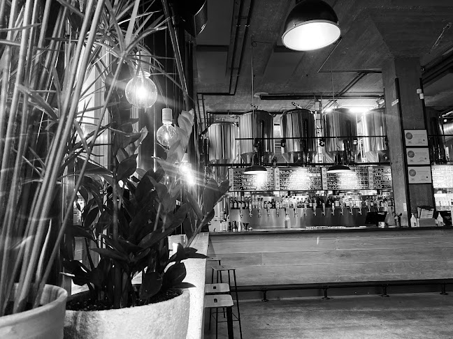 Comentarii opinii despre Molo Brew