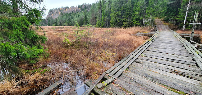 Langevannstua - Gastronomi og hotellvirksomhet