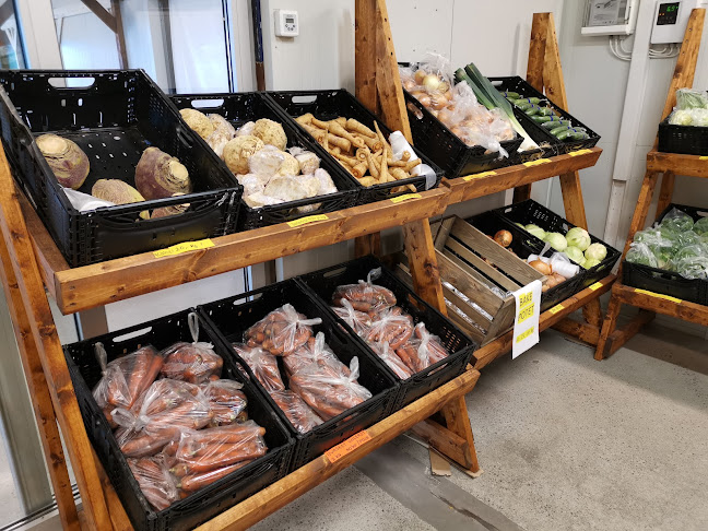 Opinii despre Sunde Gårdsutsalg în Hafrsfjord - Gastronomi og hotellvirksomhet