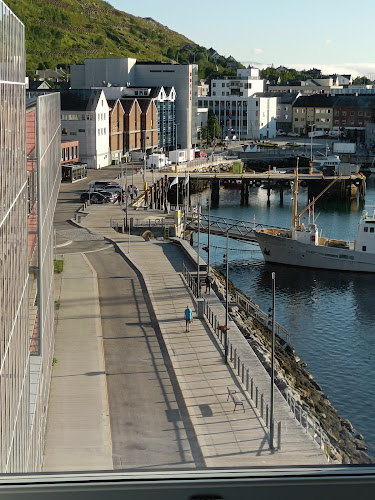 du verden matbar - Hammerfest