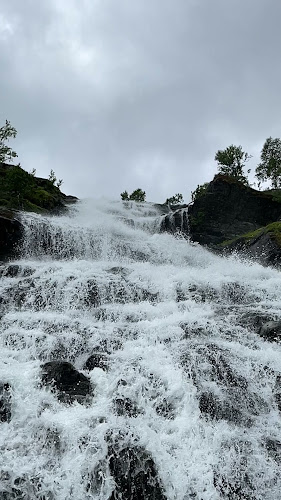 Comentarii opinii despre Rallarrosa Stølsysteri