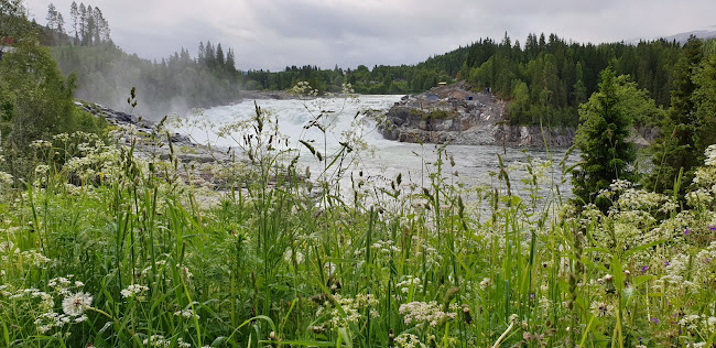 Comentarii opinii despre Laksforsen Turistcafe