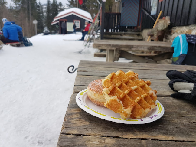 Comentarii opinii despre Grønlia