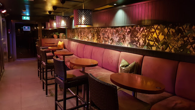 Opinii despre Storm Brasserie & Bar în Bergen - Gastronomi og hotellvirksomhet