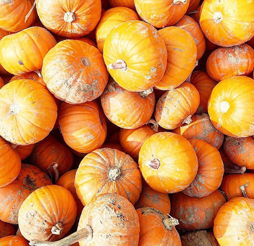 Opinii despre Oslo Mekaniske Verksted în Oslo - Gastronomi og hotellvirksomhet